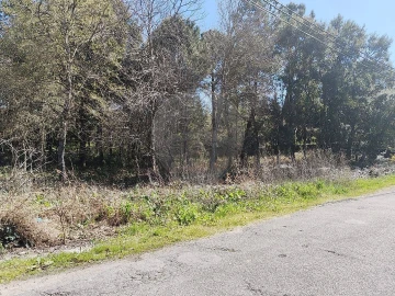 Terreno para Venda em Carregosa