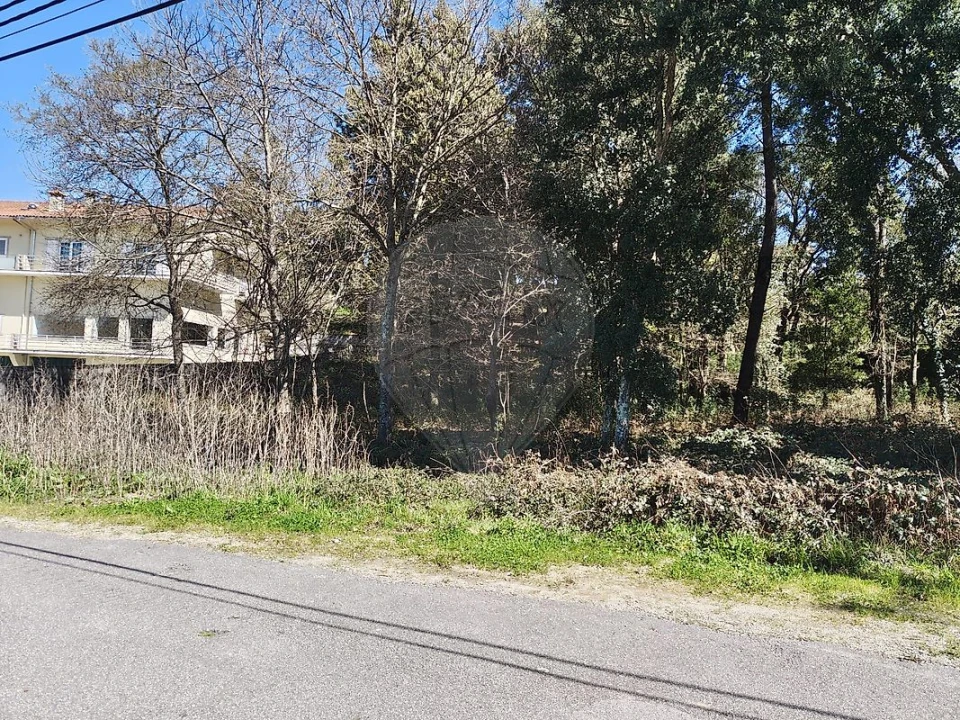 Terreno para Venda em Carregosa Foto 7