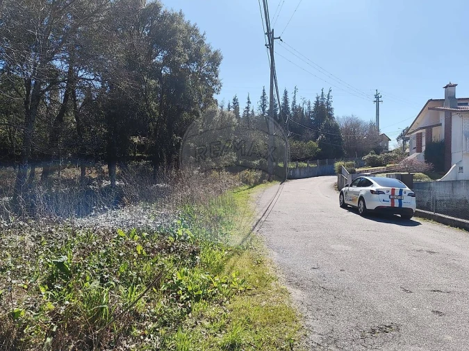 Terreno para Venda em Carregosa Foto 5
