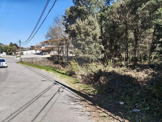 Terreno para Venda em Carregosa Foto 4