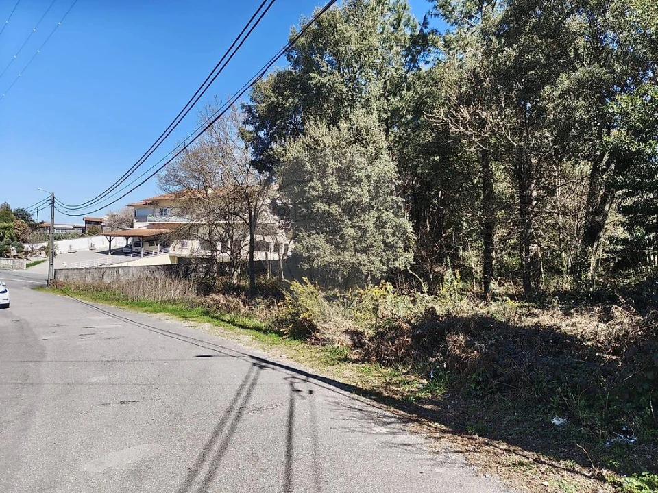 Terreno para Venda em Carregosa Foto 2