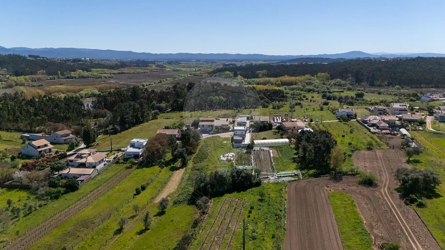 Terreno para Venda em Oiã Foto 17