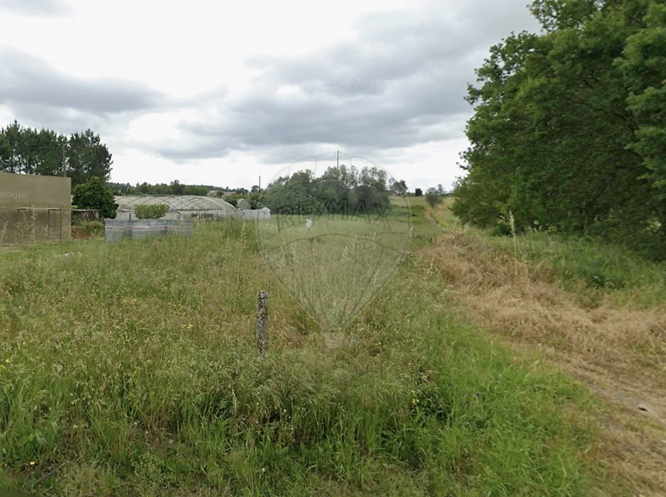 Terreno para Venda em Oiã Foto 3