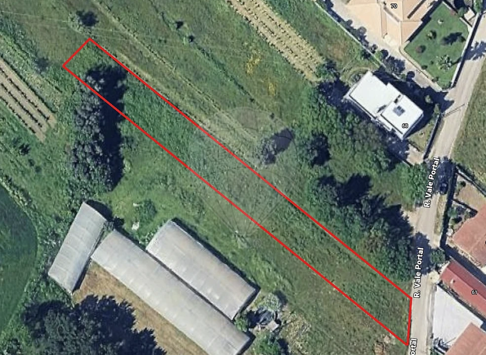 Terreno para Venda em Oiã Foto 2