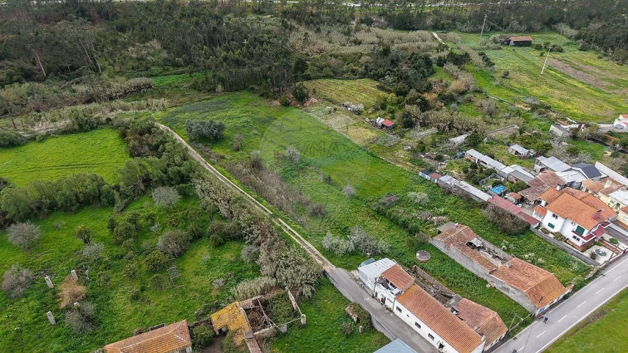 Terreno para Venda em Lavos Foto 2