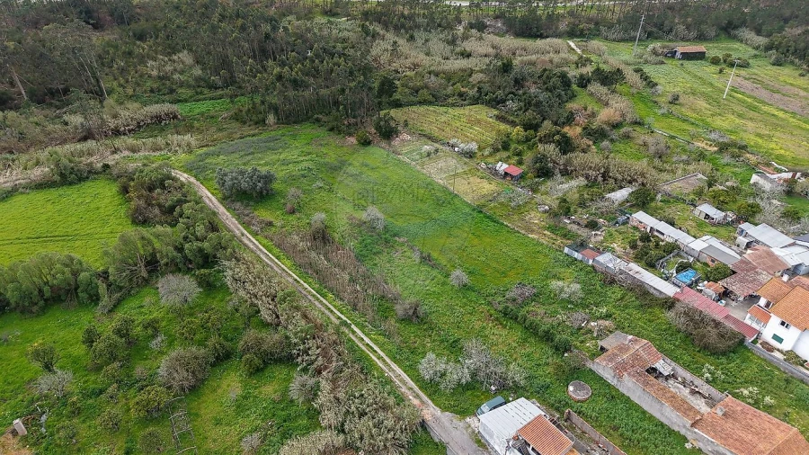 Terreno para Venda em Lavos Foto 5