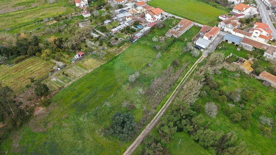 Terreno para Venda em Lavos Foto 18