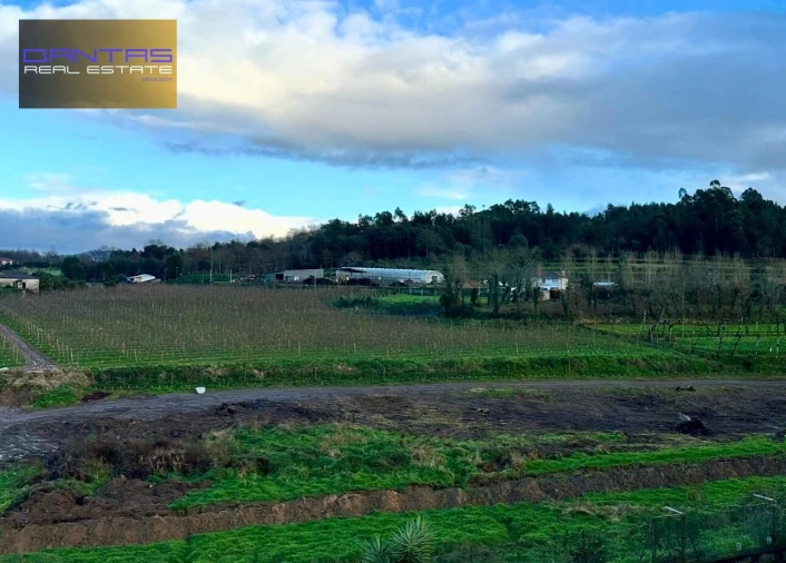 Moradia T4 para Venda em Mire de Tibães Foto 15