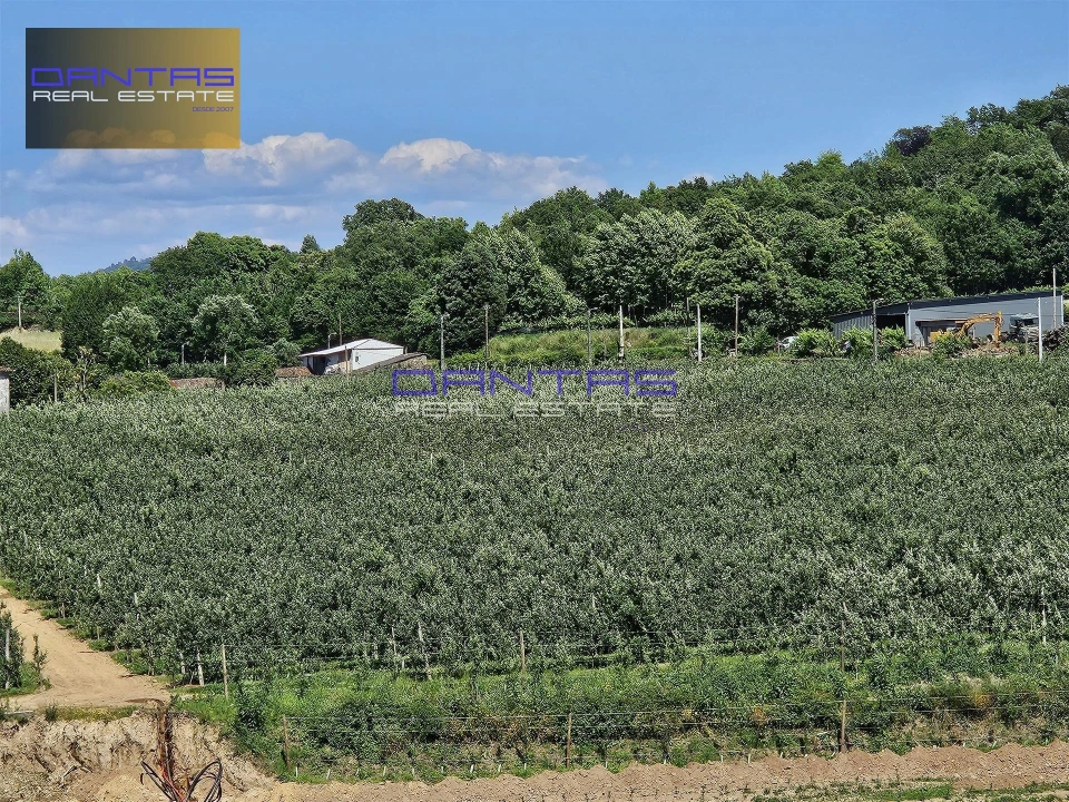 Moradia T4 para Venda em Mire de Tibães Foto 11