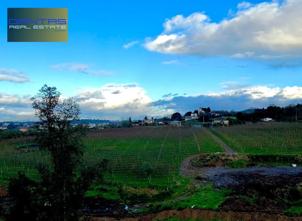 Moradia T4 para Venda em Mire de Tibães Foto 14