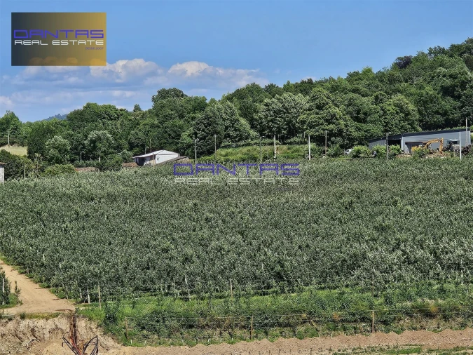 Moradia T4 para Venda em Mire de Tibães Foto 11