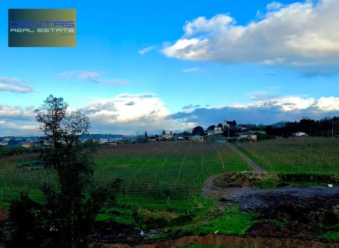 Moradia T4 para Venda em Mire de Tibães Foto 14