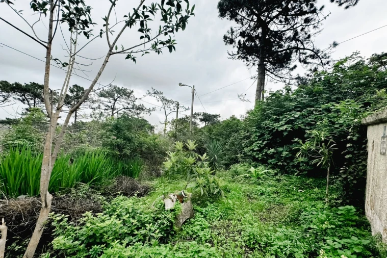 Moradia T2 para Venda em Colares Foto 21