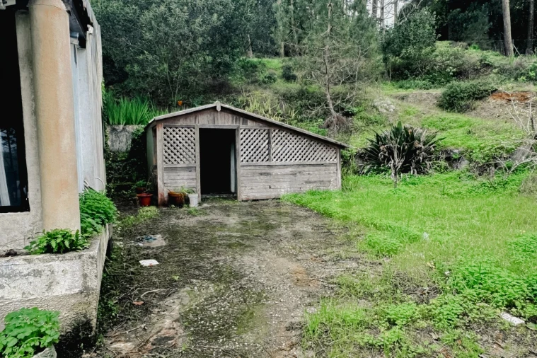 Moradia T2 para Venda em Colares Foto 22