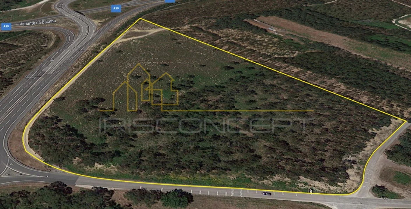 Terreno Comércio / Armazém para Venda em Batalha Foto 1