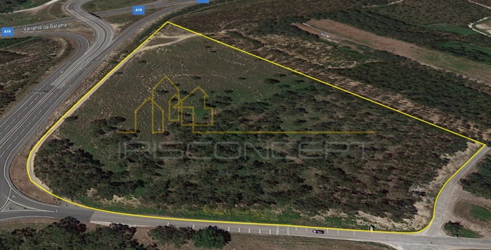 Terreno Comércio / Armazém para Venda em Batalha Foto 1