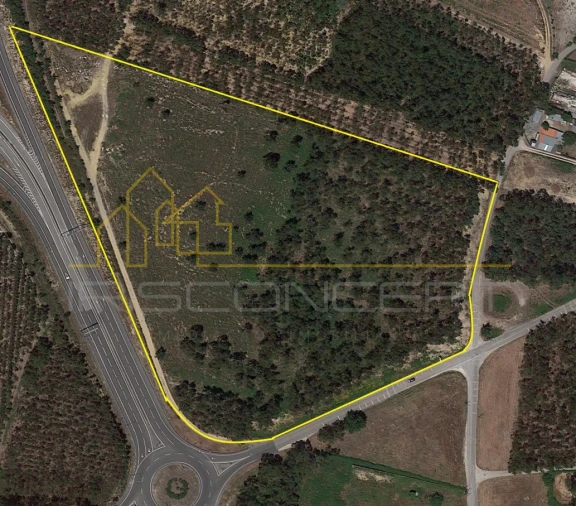 Terreno Comércio / Armazém para Venda em Batalha Foto 2