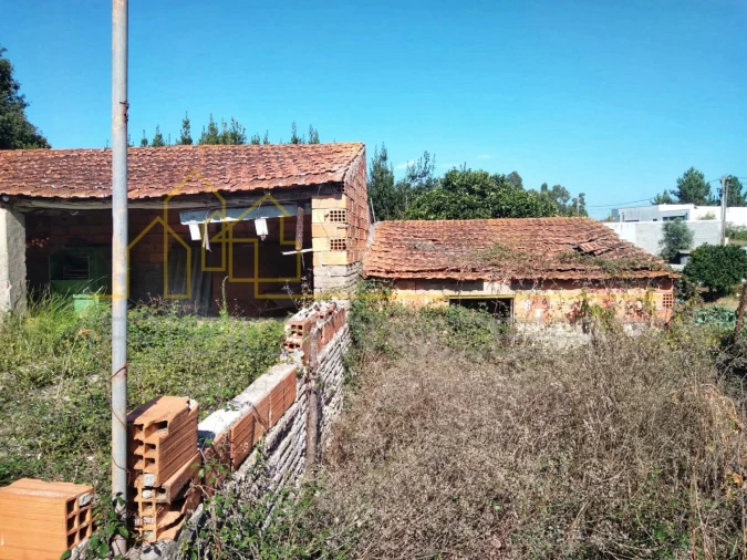 Moradia T2 para Venda em Figueiro do Campo Foto 4