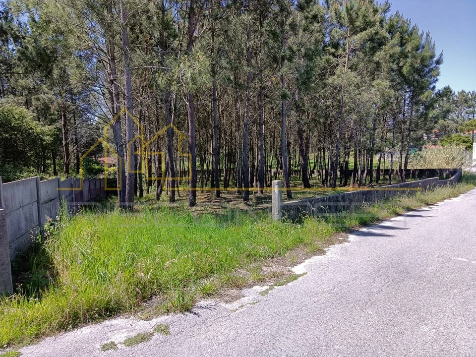 Terreno para Venda em Maceira Foto 1