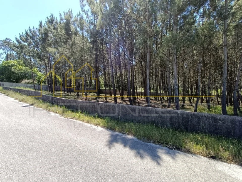 Terreno para Venda em Maceira Foto 2