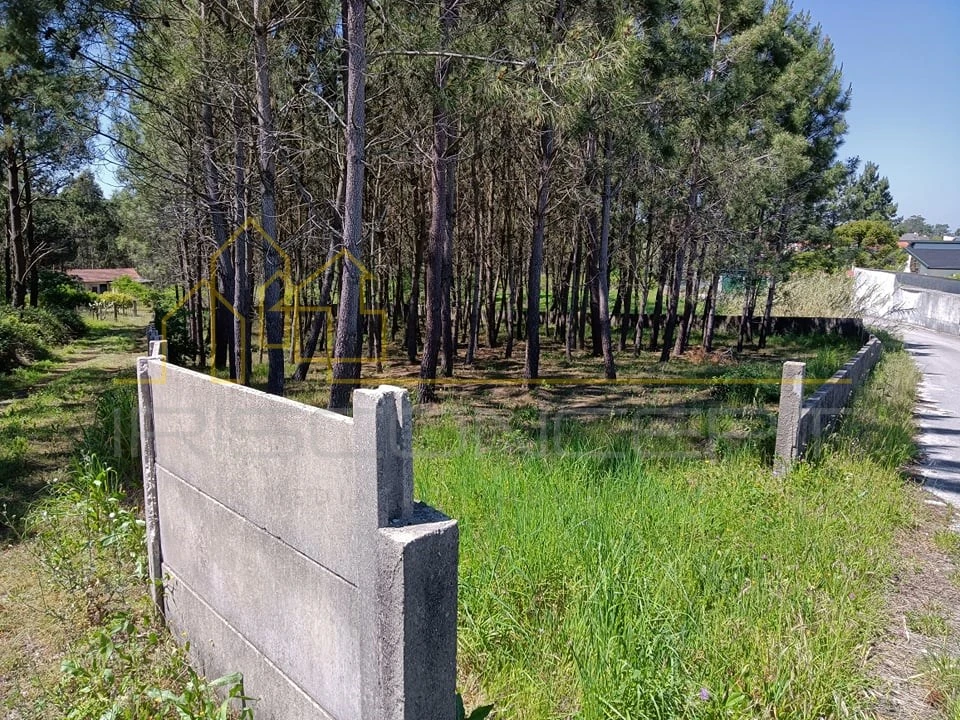 Terreno para Venda em Maceira Foto 4