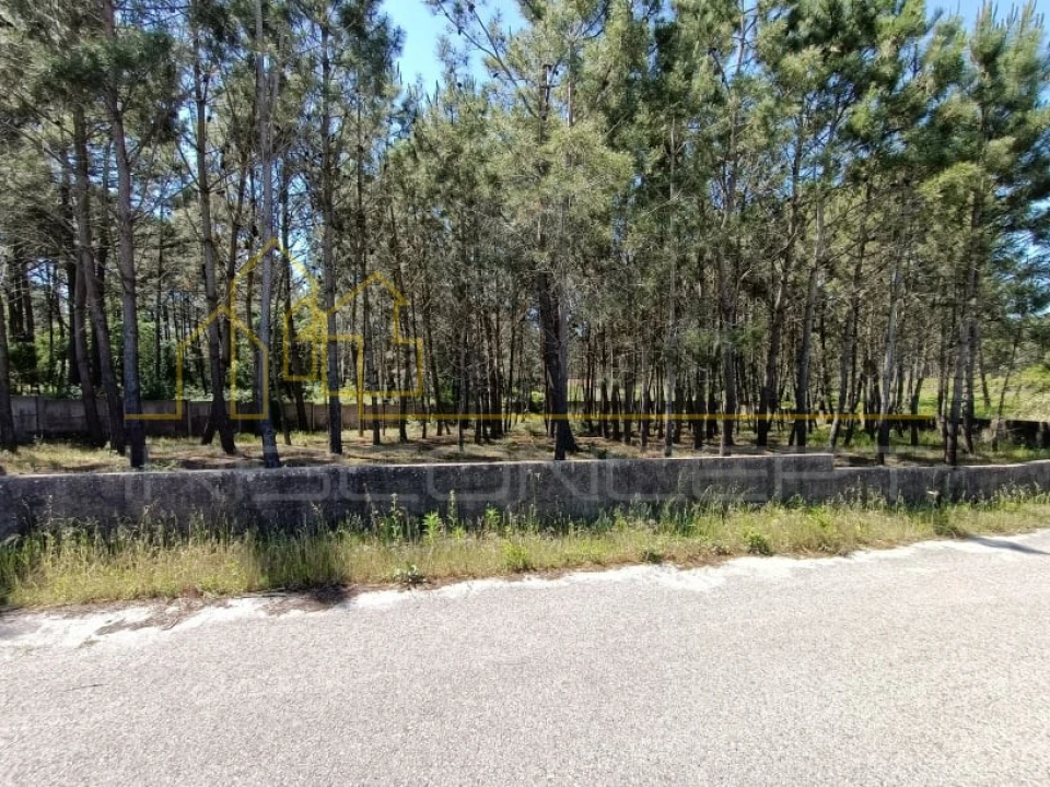 Terreno para Venda em Maceira Foto 5