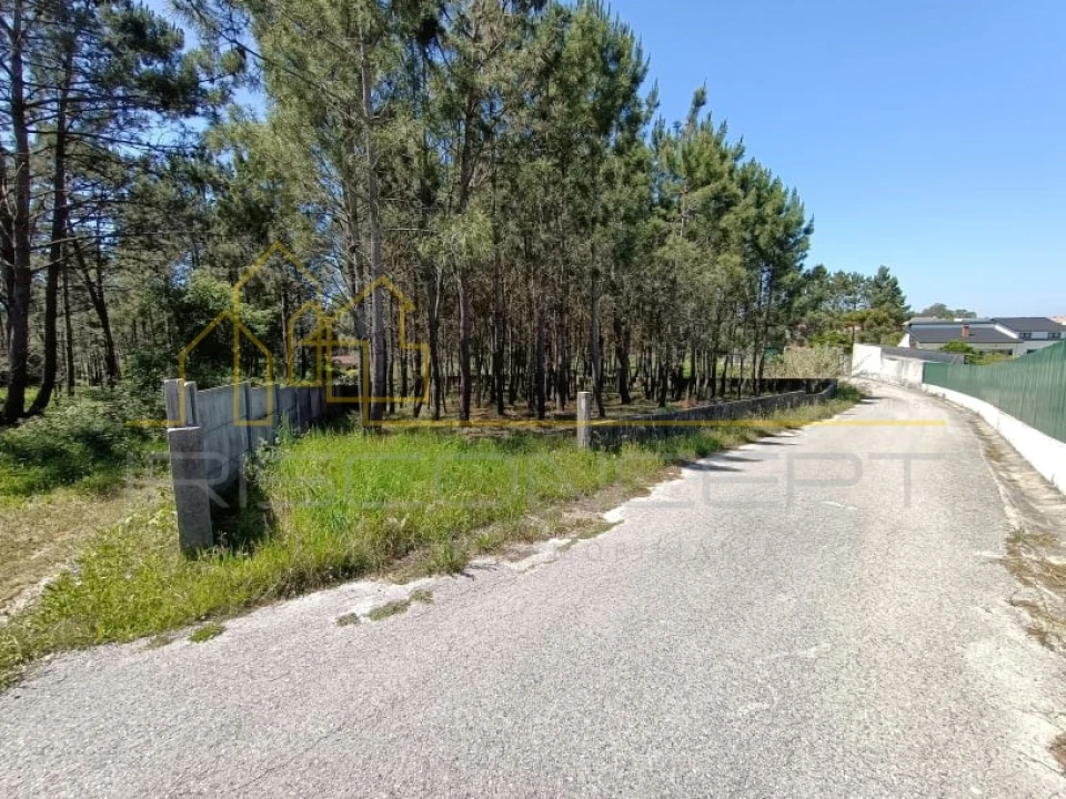 Terreno para Venda em Maceira Foto 6