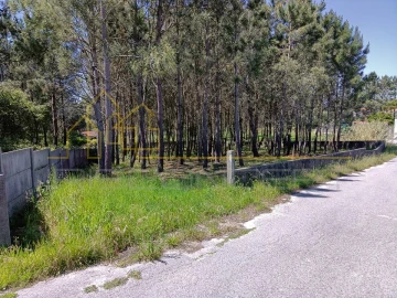 Terreno para Venda em Maceira