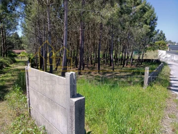 Terreno para Venda em Maceira