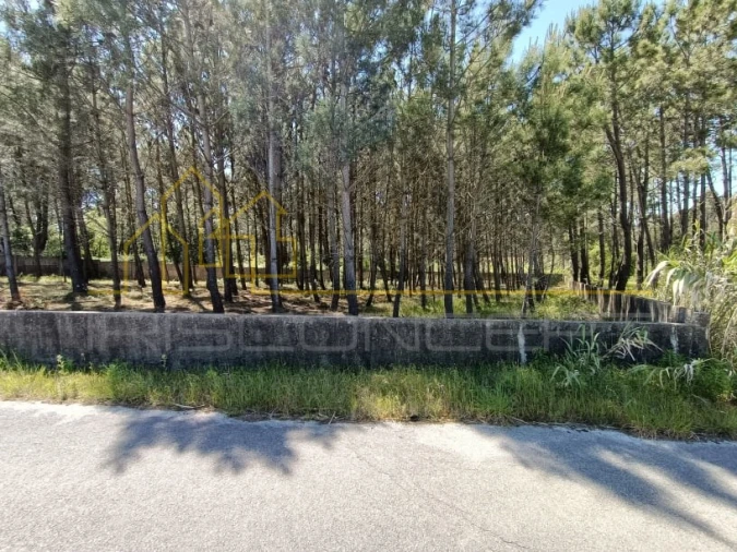 Terreno para Venda em Maceira Foto 3