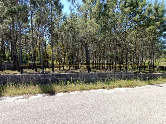 Terreno para Venda em Maceira Foto 5