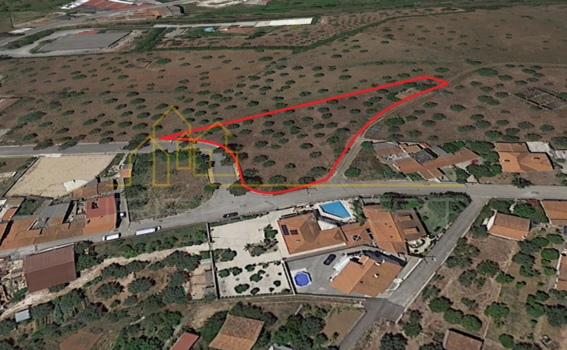 Terreno para Venda em Alcanena e Vila Moreira Foto 2