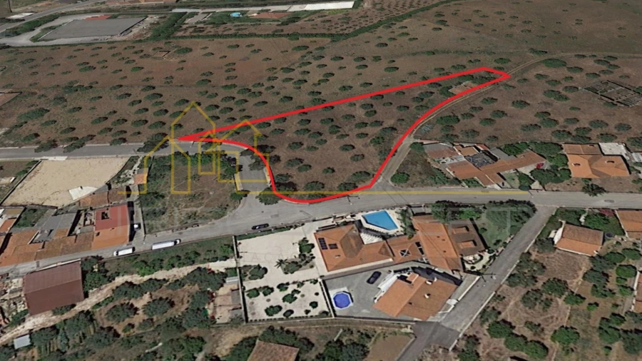 Terreno para Venda em Alcanena e Vila Moreira