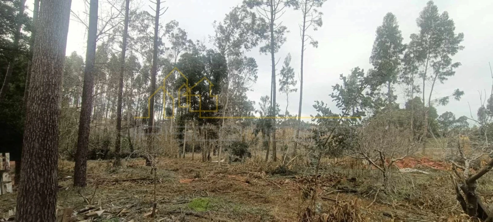 Terreno para Venda em Marinha Grande Foto 2