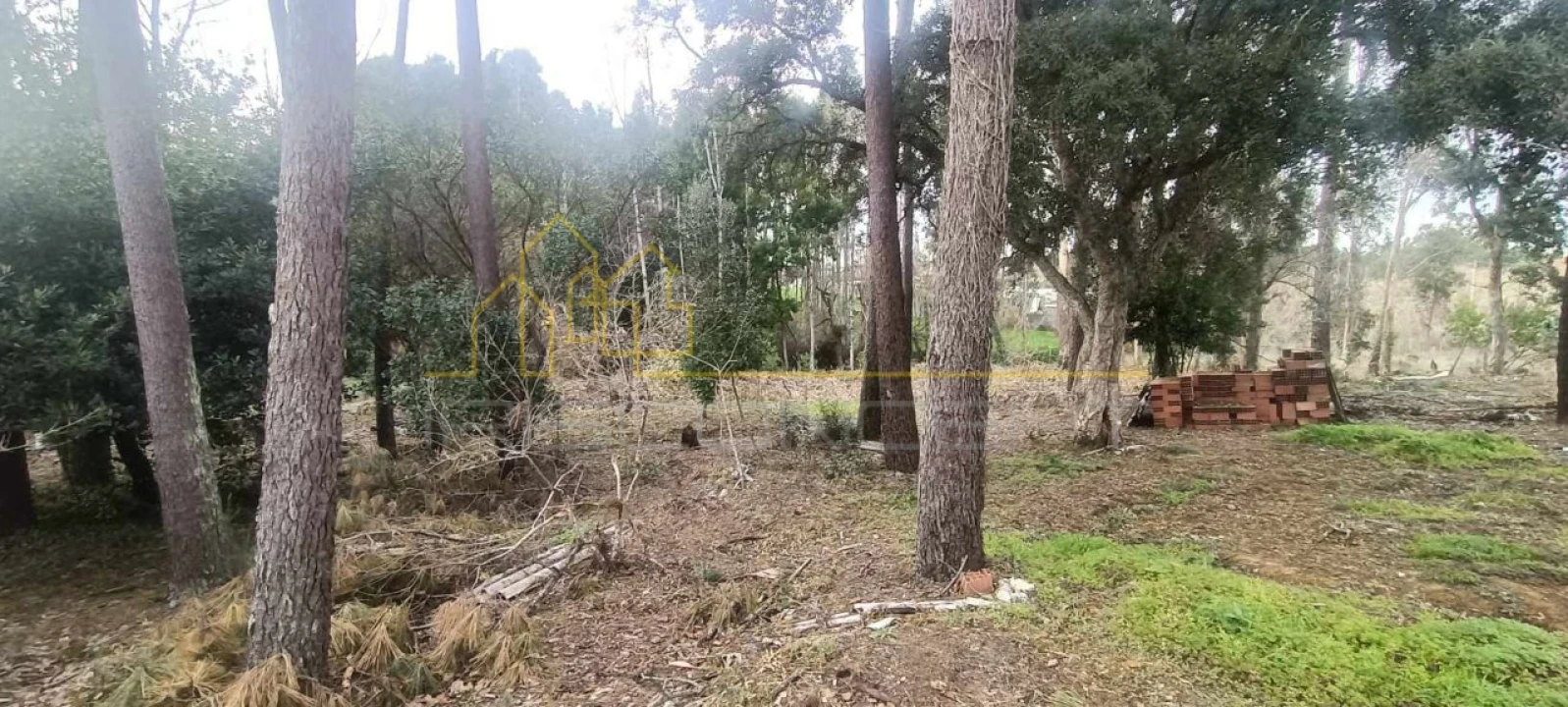 Terreno para Venda em Marinha Grande Foto 4