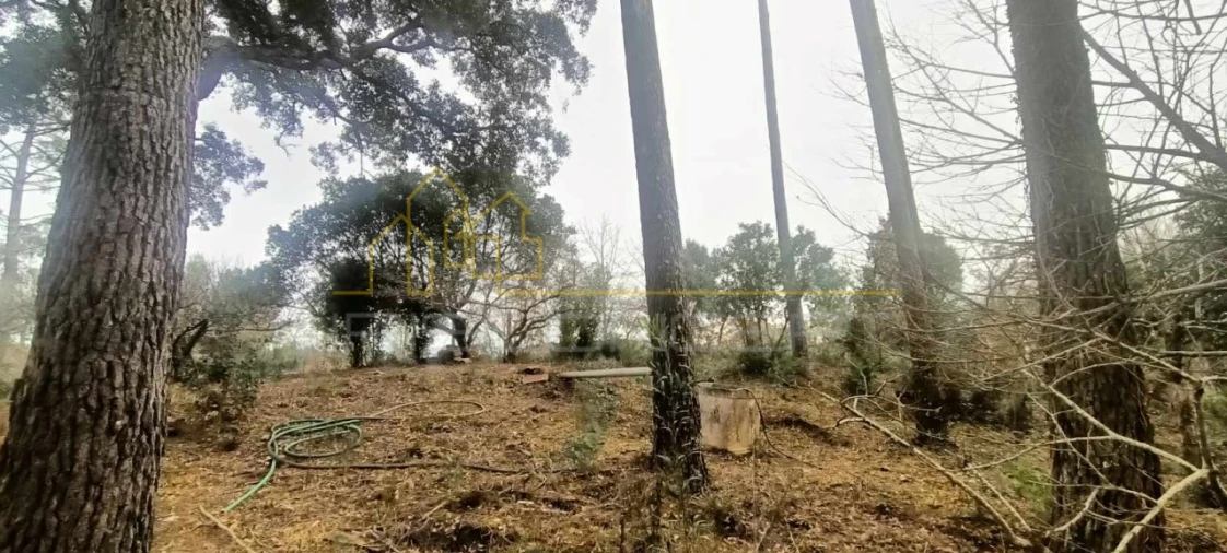 Terreno para Venda em Marinha Grande Foto 3