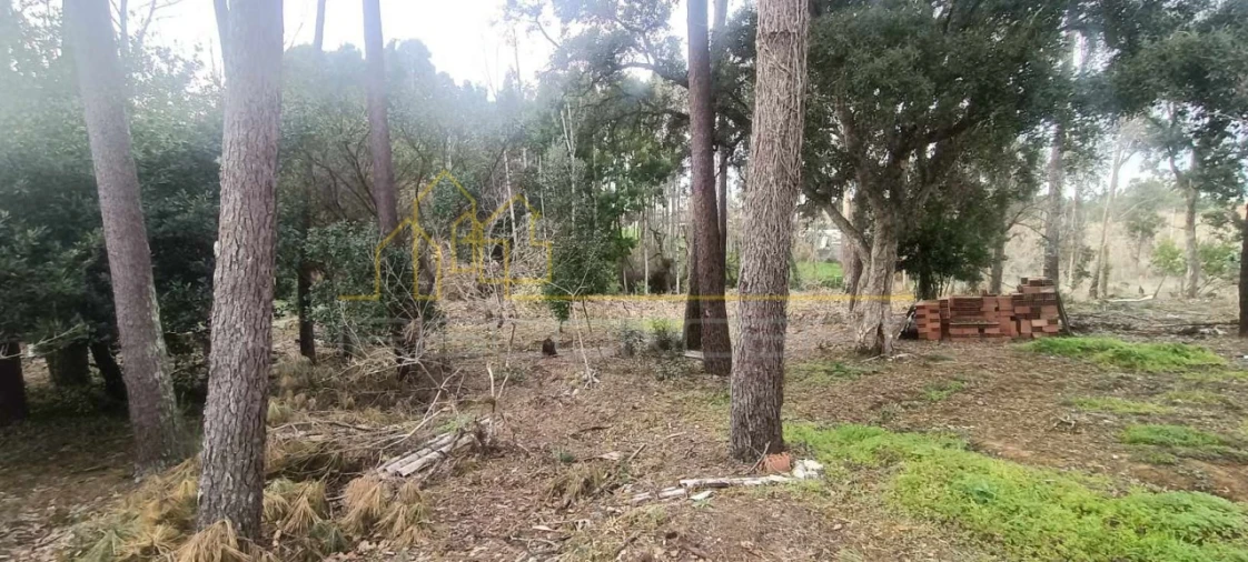 Terreno para Venda em Marinha Grande Foto 4