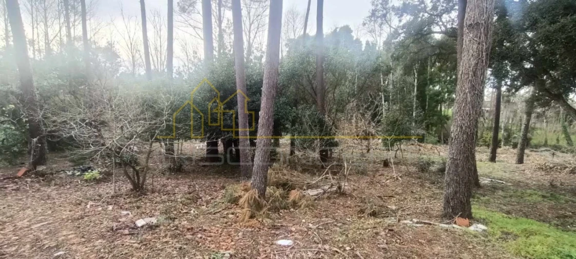 Terreno para Venda em Marinha Grande Foto 5