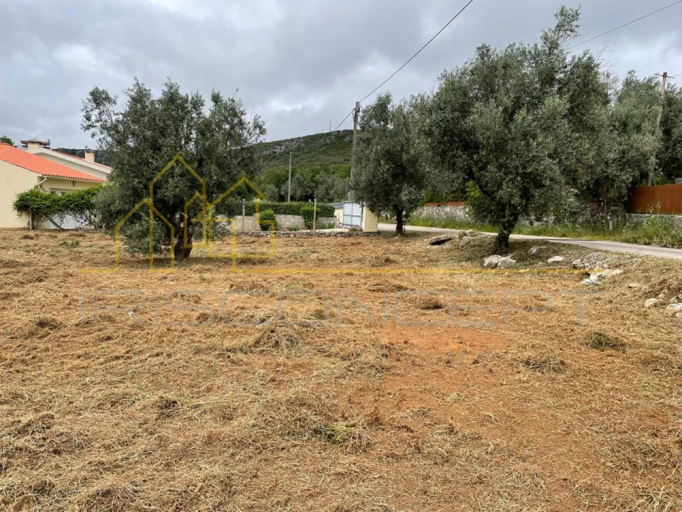 Terreno para Venda em Alvados e Alcaria Foto 4
