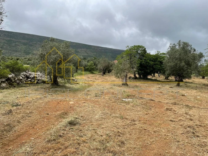 Terreno para Venda em Alvados e Alcaria Foto 2
