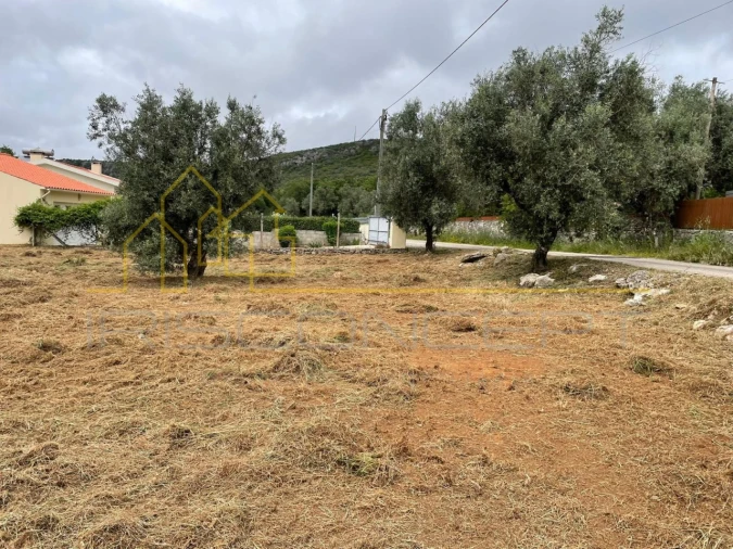 Terreno para Venda em Alvados e Alcaria Foto 4