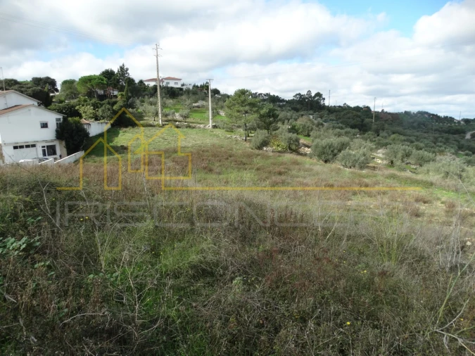 Terreno para Venda em Santa Catarina da Serra e Chainça Foto 5