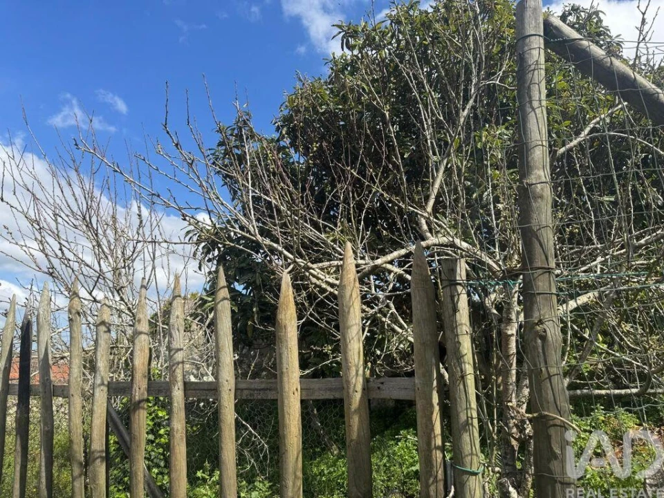 Moradia para Venda em Alcobaça e Vestiaria Foto 9