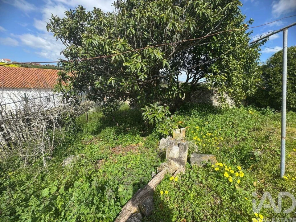 Moradia para Venda em Alcobaça e Vestiaria Foto 14