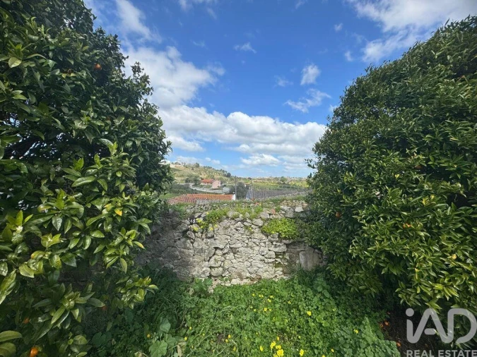 Moradia para Venda em Alcobaça e Vestiaria Foto 11