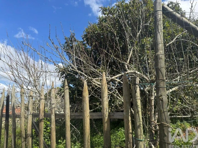 Moradia para Venda em Alcobaça e Vestiaria Foto 9