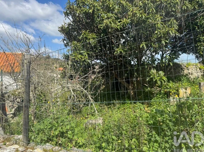 Moradia para Venda em Alcobaça e Vestiaria Foto 10