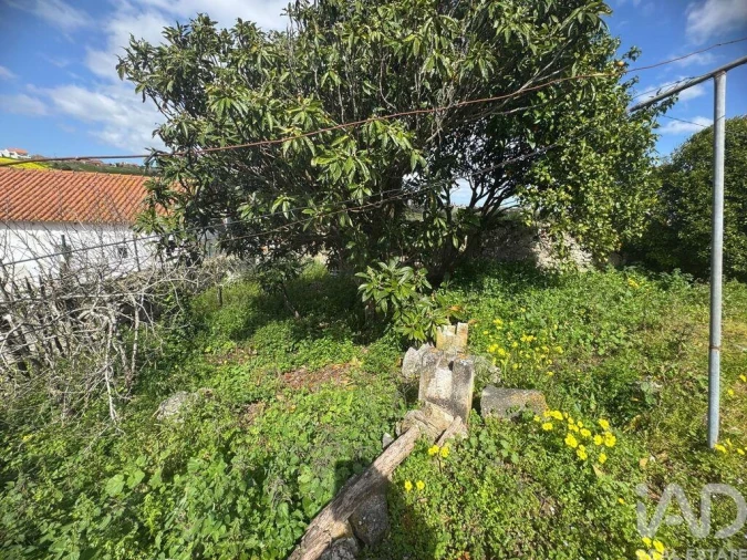 Moradia para Venda em Alcobaça e Vestiaria Foto 6
