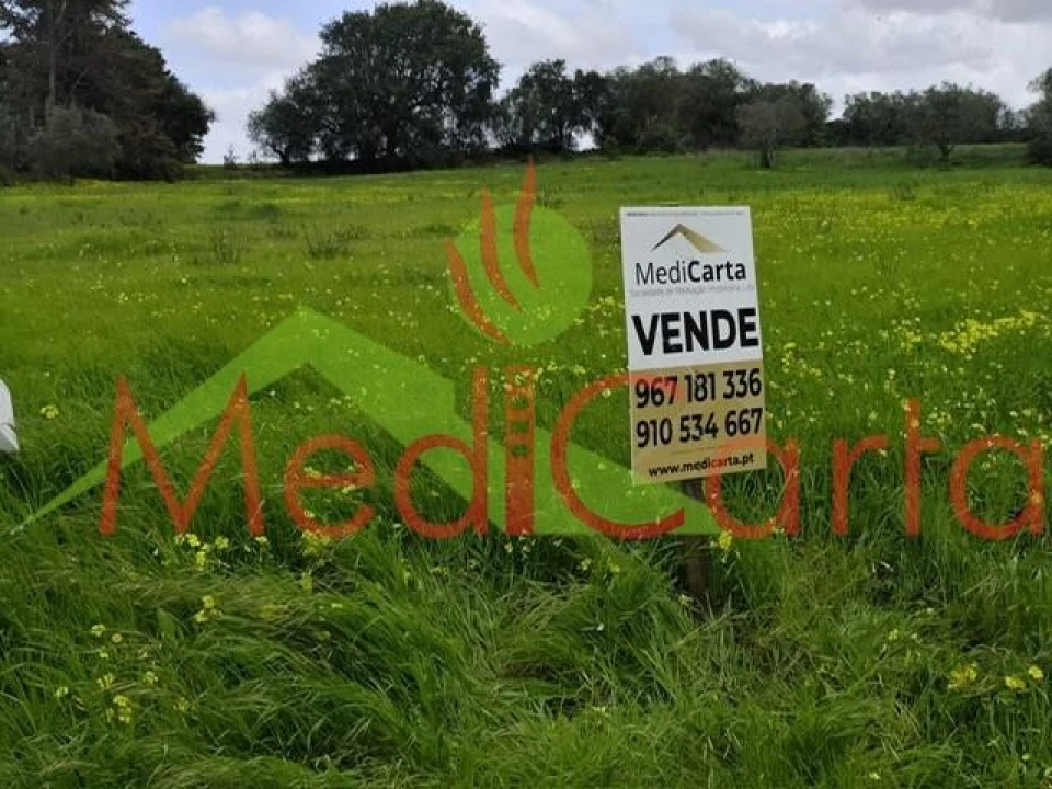 Terreno para Venda em Cartaxo e Vale da Pinta Foto 1