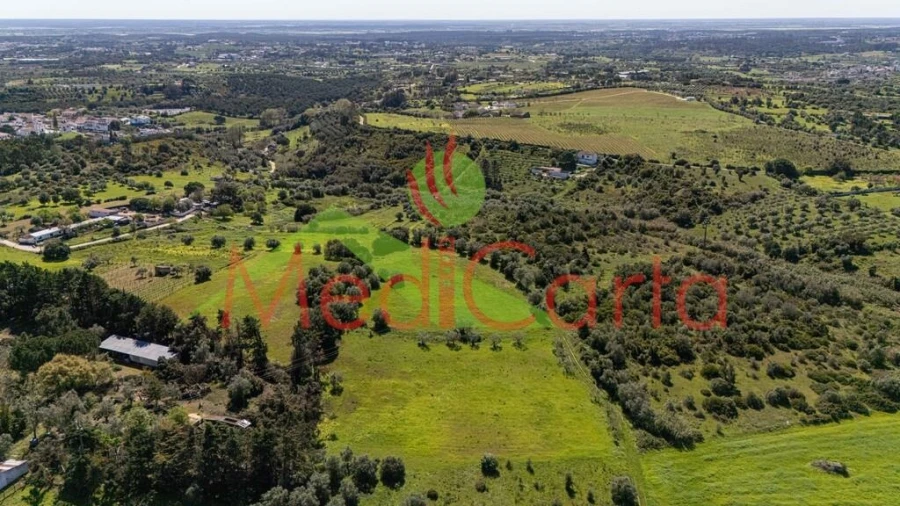Terreno para Venda em Cartaxo e Vale da Pinta Foto 7